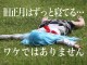 春節（中国旧正月）にコスプレ衣装の納期が遅れるワケ